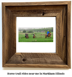 horse trail rides near me in Markham, Illinois